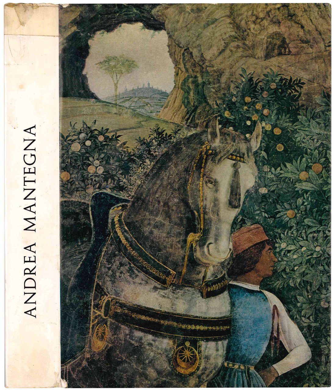 Andrea Mantegna. Catalogo della mostra a cura di Andrea Paccagnini … | Immagine principale