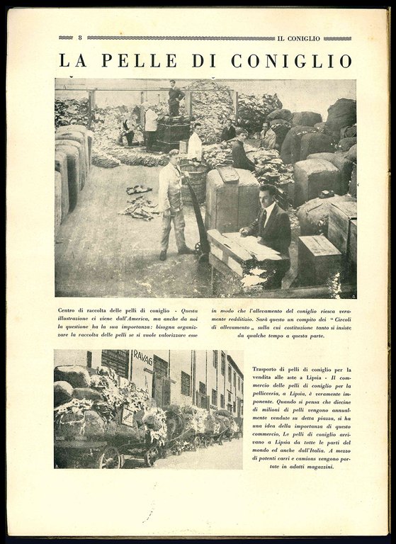 Animali da Pelliccia e loro allevamento.