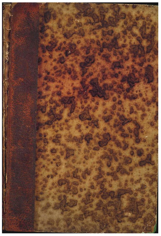 Antiquissimae constitutiones synodales provinciae Gneznensis maxima ex parte nunc primum … | Immagine Gallery 2