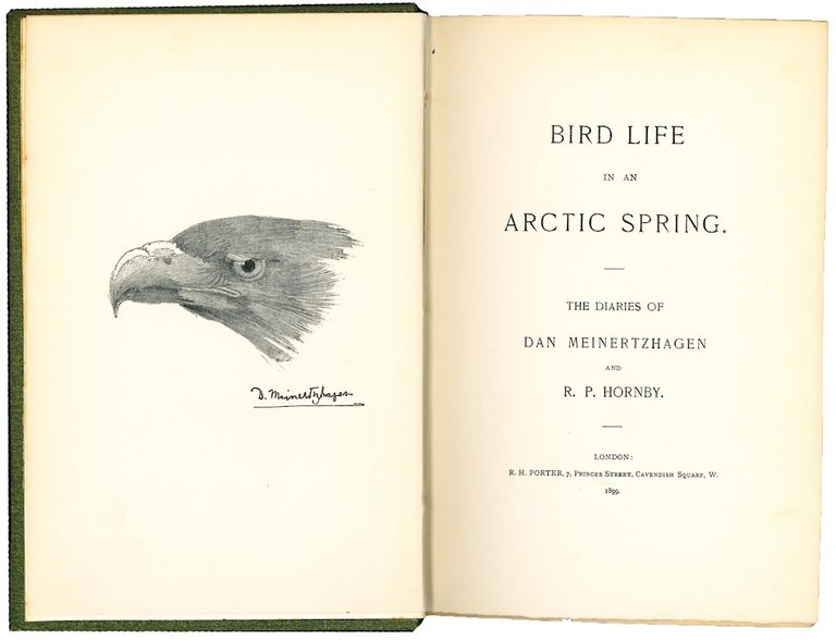 Bird Life in an Arctic Spring. The diaries of Dan …