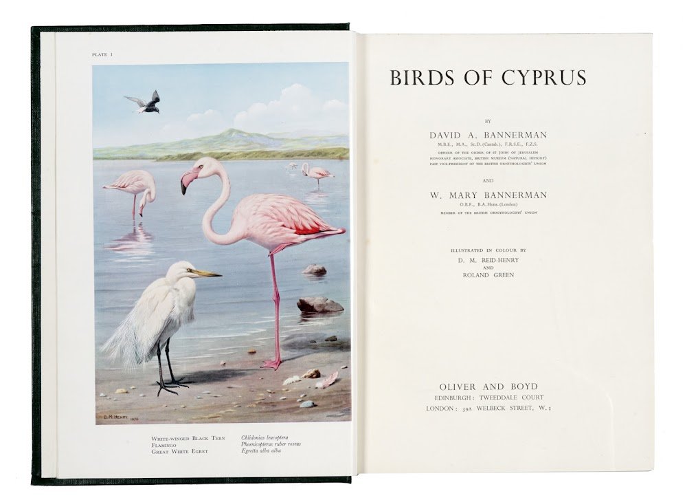 Birds of Cyprus