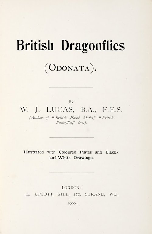 British dragonflies (Odonata)