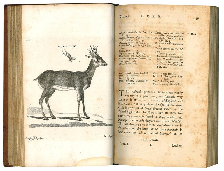 British zoology. Fourth edition. Vol. I (-IV).