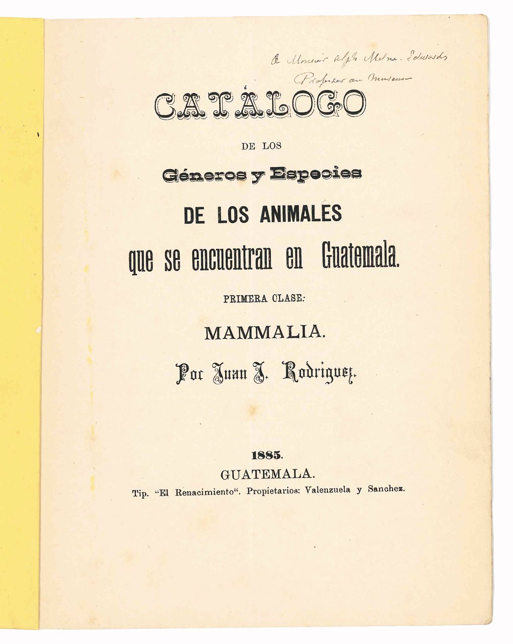 Catalogo de los géneros y especies de los animales que … | Immagine principale