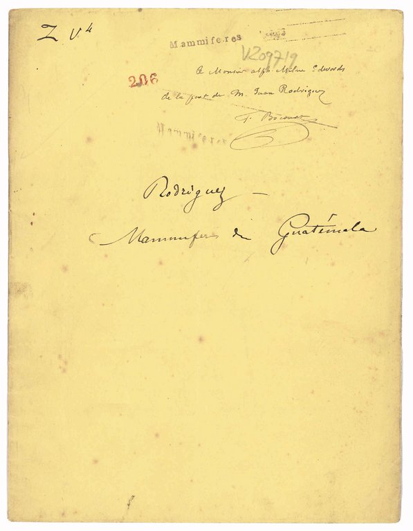 Catalogo de los géneros y especies de los animales que … | Immagine Gallery 2