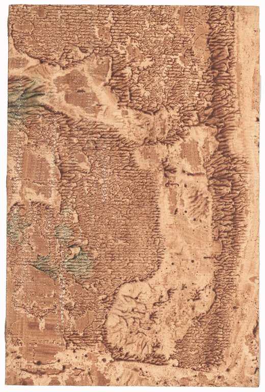 Catalogus plantarum horti botanici Regiensis curante Claudio Fossa rei agrariae … | Immagine Gallery 2