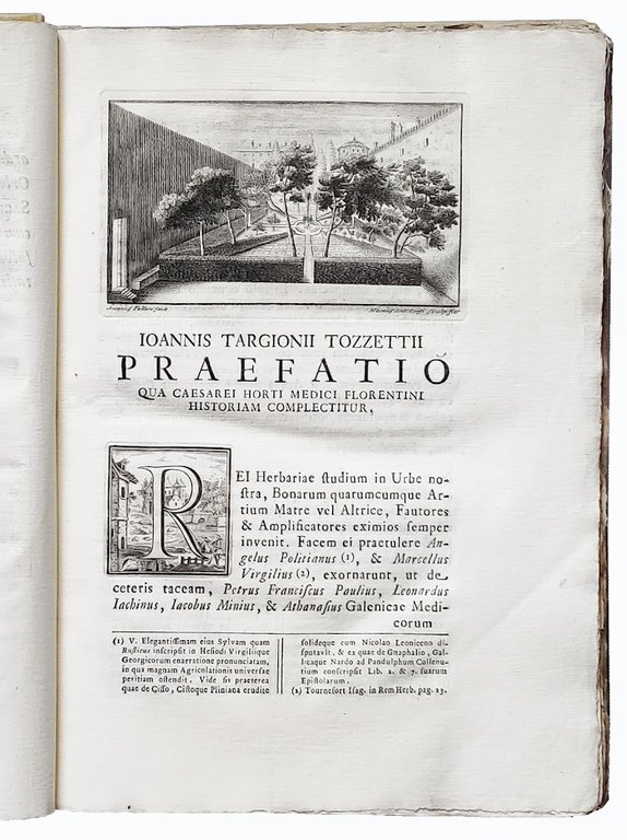Catalogus plantarum horti caesarei Florentini opus postumum iussu Societatis botanicae … | Immagine Gallery 1