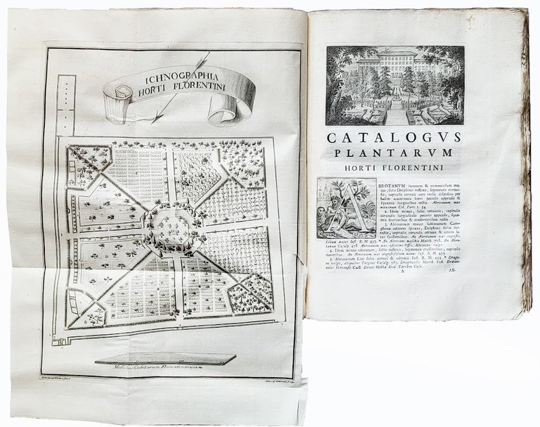 Catalogus plantarum horti caesarei Florentini opus postumum iussu Societatis botanicae …