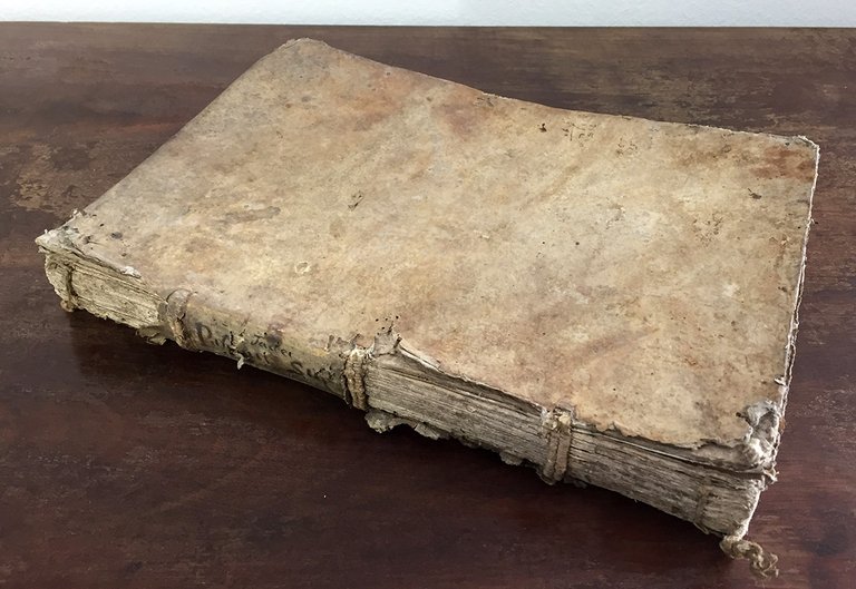 Commentaria in quatuor Institutionum Iustiniani imperatoris libros. Thadaei Pisonis Soacii …