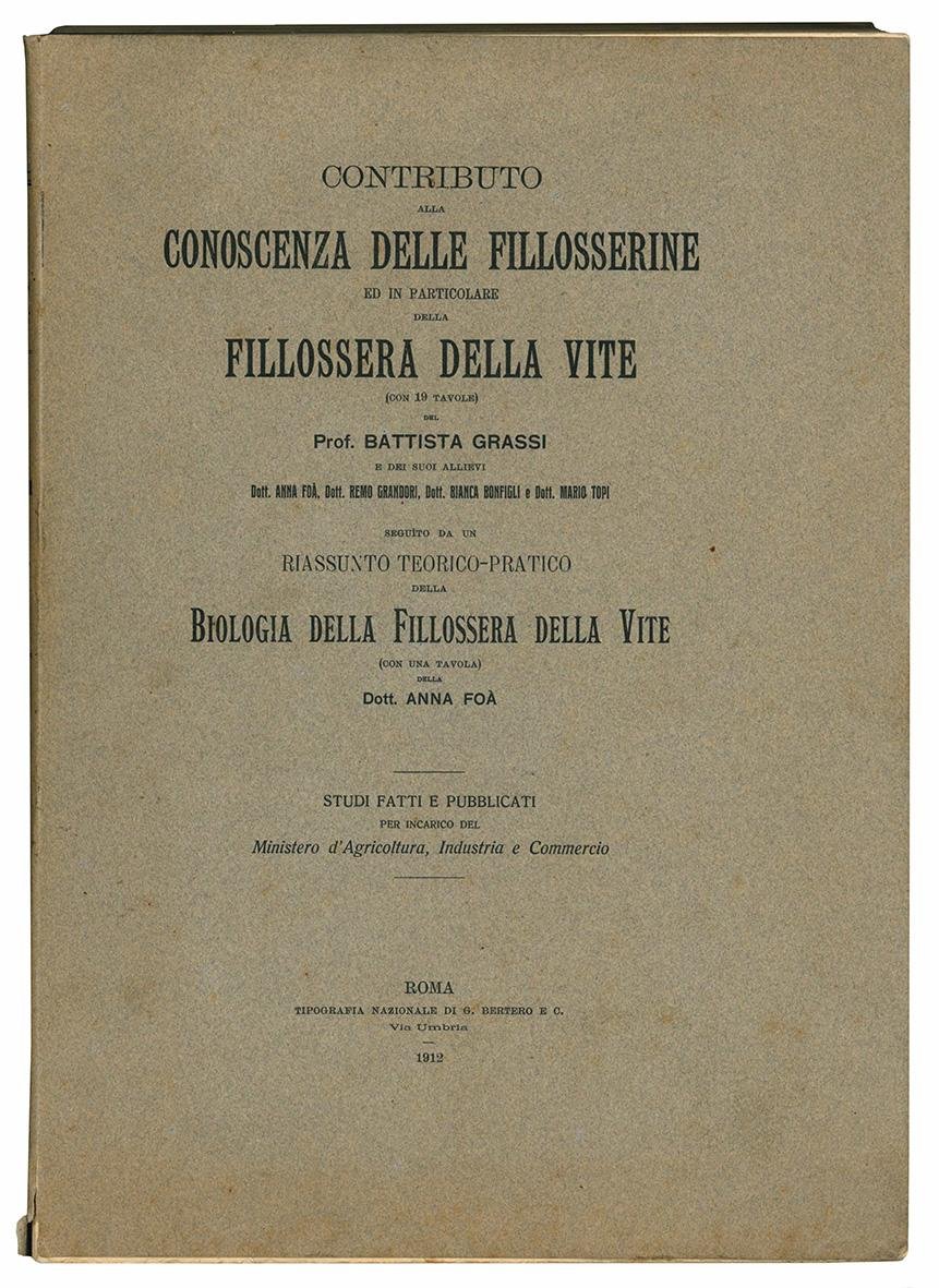 Contributo alla conoscenza delle fillosserine ed in particolare della fillossera …