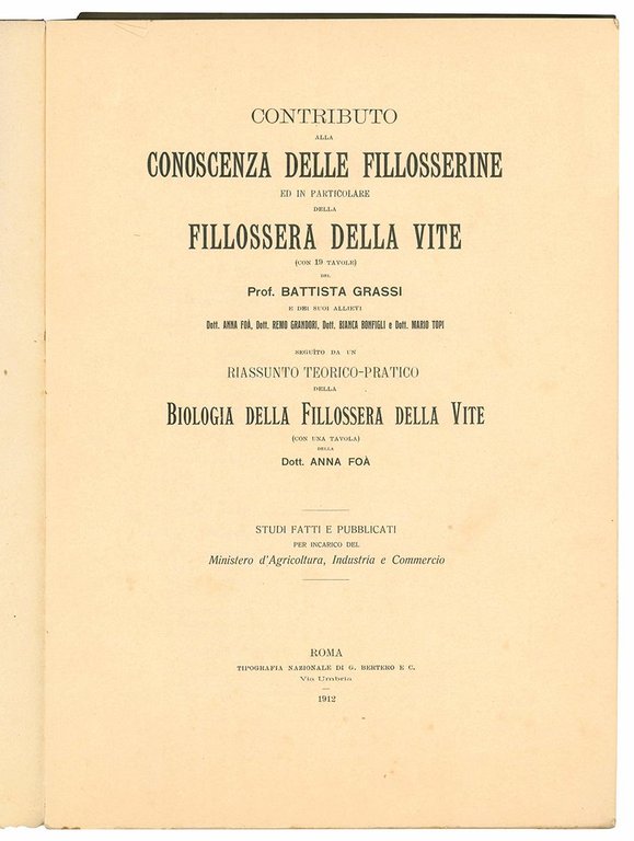 Contributo alla conoscenza delle fillosserine ed in particolare della fillossera …