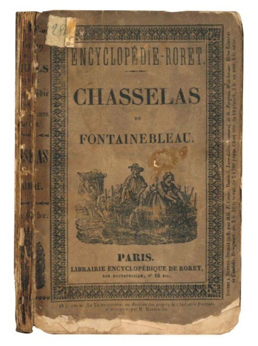 Culture du chasselas de Fontainebleau par un vigneron des environs …
