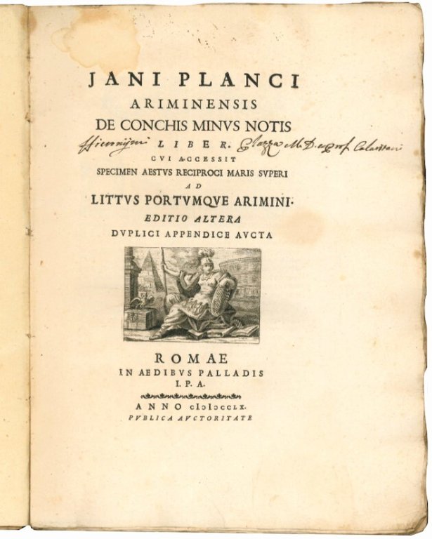 De conchis minus notis liber cui accessit specimen aestus reciproci …