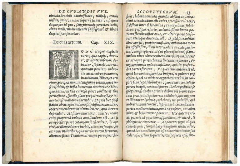 De curandis vulneribus sclopettorum, authore Leonardo Botallo Astense medico