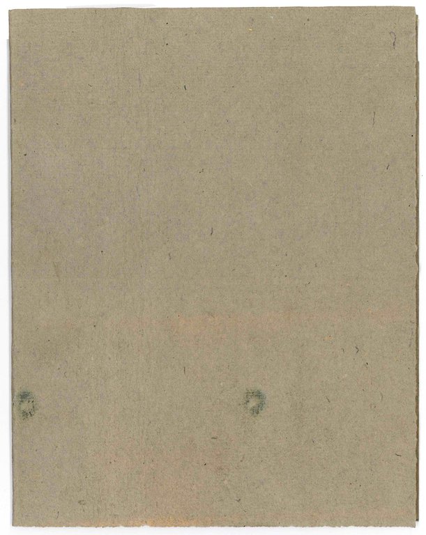De functionibus arbitrariis calculi integralis. Dissertatio. | Immagine Gallery 3
