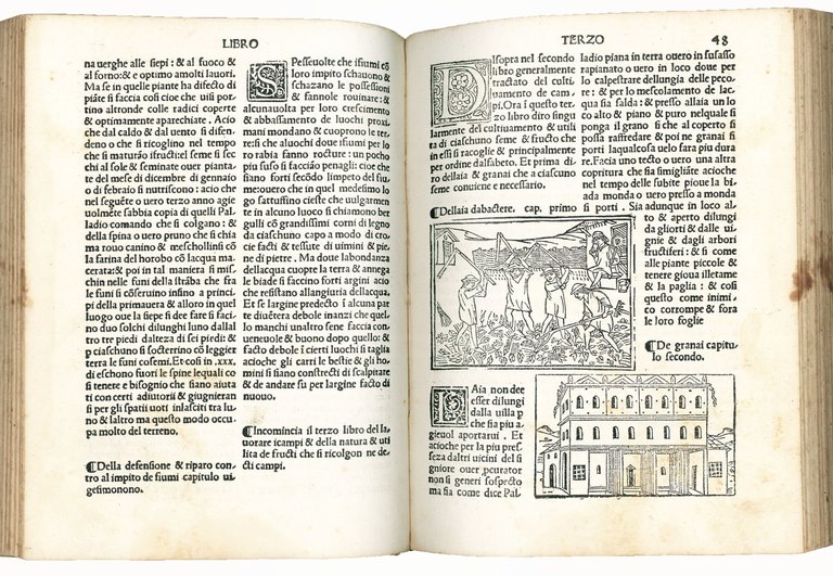 De honesta voluptate &amp; valitudine vulgare