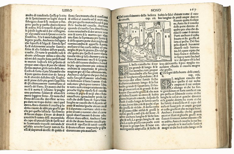 De honesta voluptate &amp; valitudine vulgare
