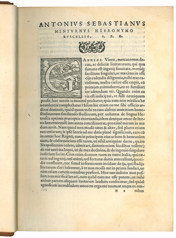 De poeta, ad Hectorem Pignatellum, Vibonensium ducem, libri sex