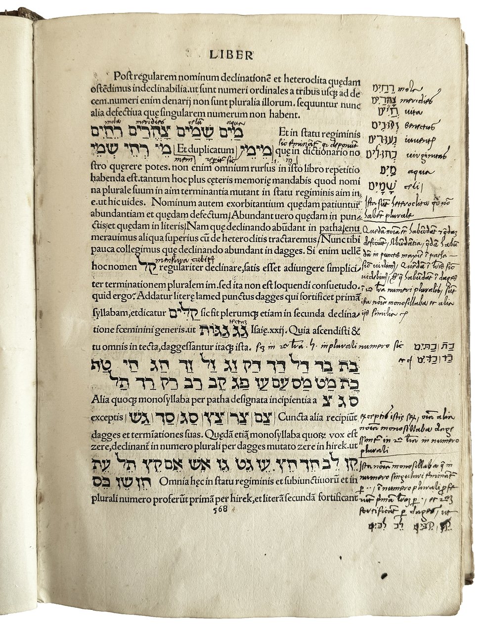 [...] De rudimentis hebraicis. Colophon: Phorce in aedib. Tho. Anshelmi …