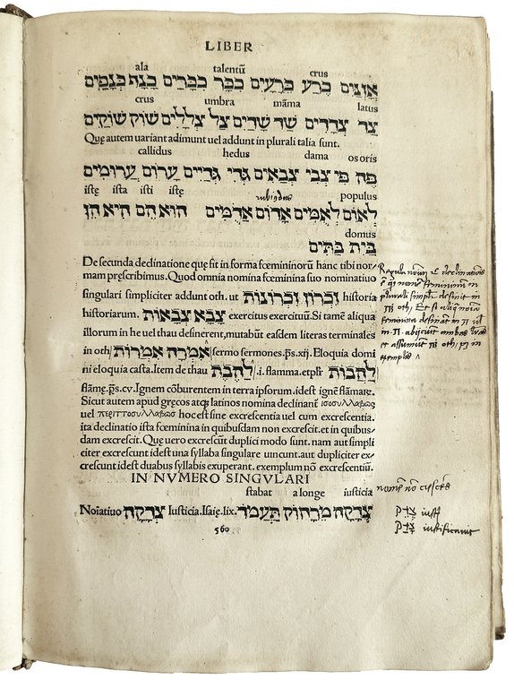 [...] De rudimentis hebraicis. Colophon: Phorce in aedib. Tho. Anshelmi …