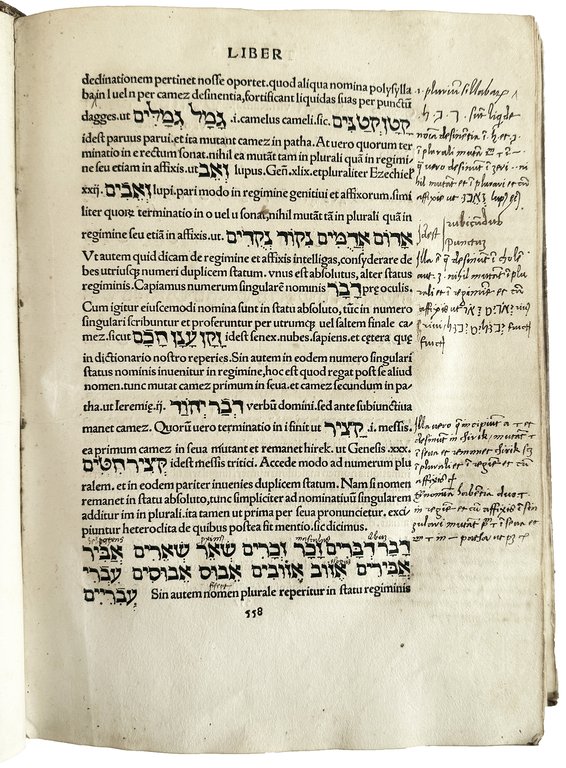 [...] De rudimentis hebraicis. Colophon: Phorce in aedib. Tho. Anshelmi …