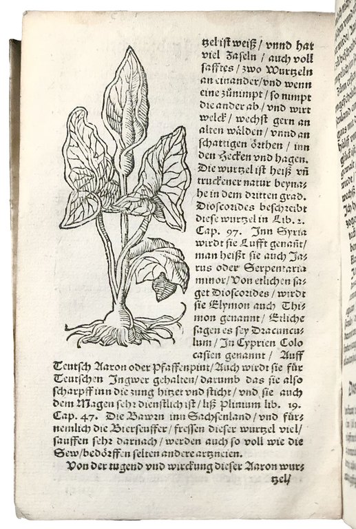 De vera curandae pestis ratione, liber unus [...]