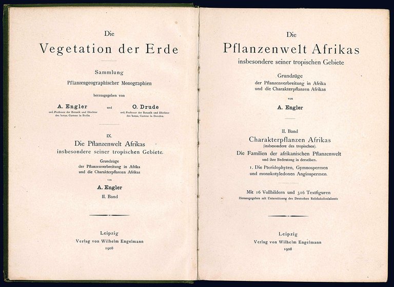 Die Pflanzelwelt Afrikas insbesondere seiner tropischen Gabiete. II. Band.