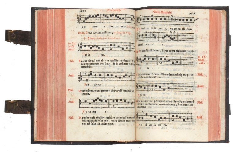 Directorium chori ad vsum sacrosanctae Basilicae Vaticanae, &amp; aliarum Cathedralium, …