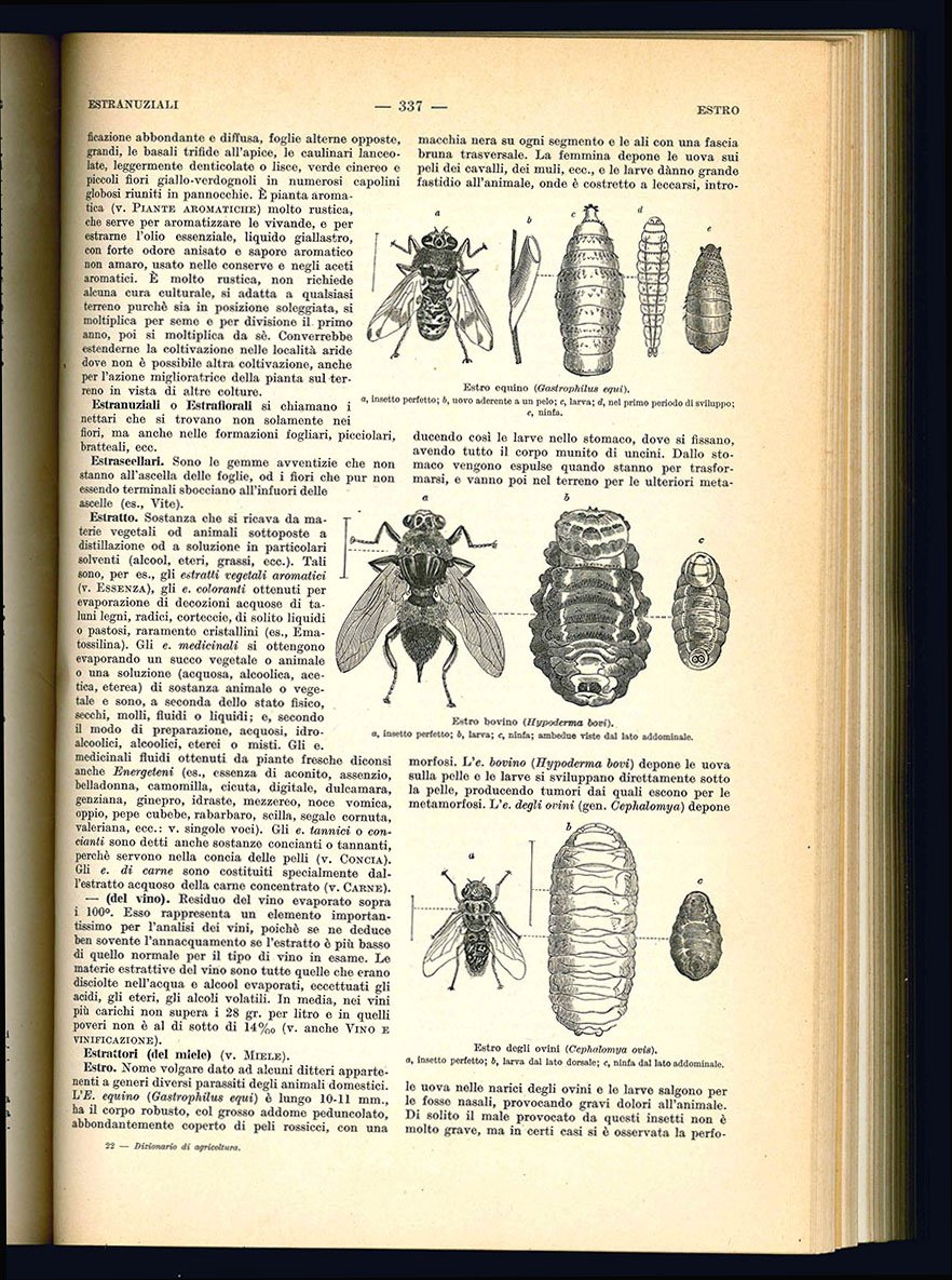 Dizionario pratico di agricoltura giardinaggio e industrie agricole redatto da …