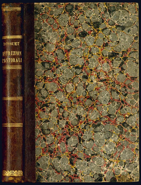 Due istruzioni pastorali sopra le promesse fatte da GesuCristo alla …