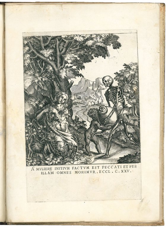 Ecclesiae militantis triumphi sive Deo amabilium martyrum gloriosa pro Christi …