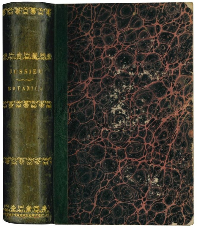 Elementi di Botanica e Fisiologia vegetale. Parte Prima: Organi e …