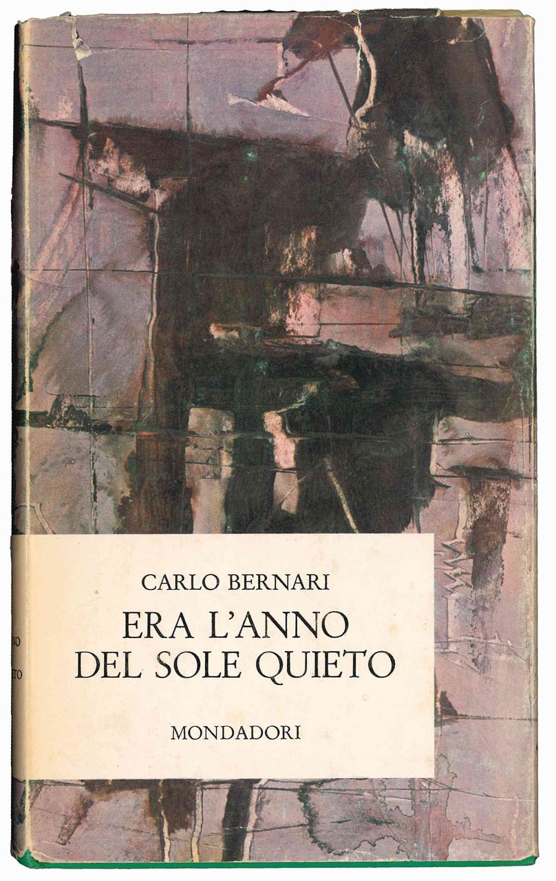 Era l'anno del sole quieto | Immagine principale