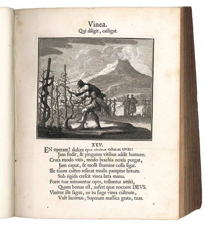 Ethica naturalis seu Documenta moralia e variis rerum naturalium proprietatibus … | Immagine Gallery 5