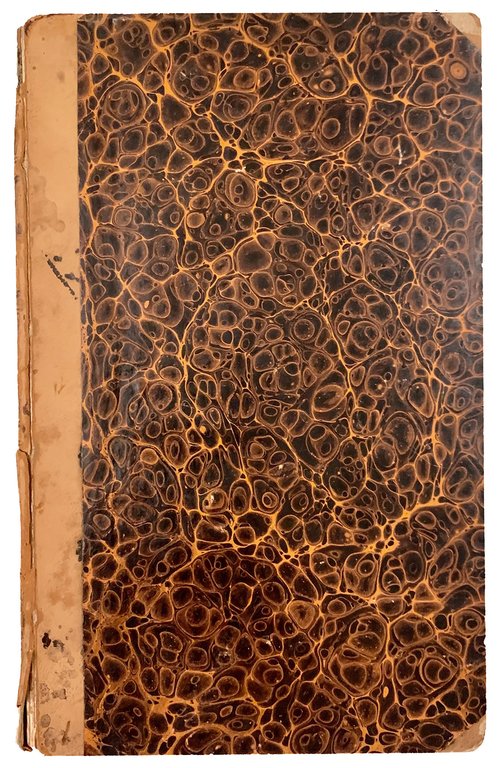 Första Resa fran Cairo till Arabiska Öknen i April 1845. … | Immagine Gallery 3