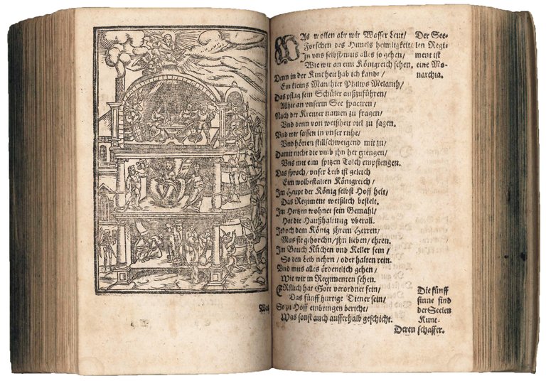 Froschmeuseler. Der Frösch und Meuse wunderbare Hoffhaltunge. Der fröhlichen / …