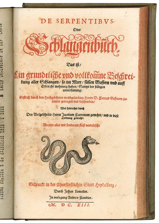 Gesnerus Redivivus / auctus et emendatus oder Allgemeines Thier-Buch das …