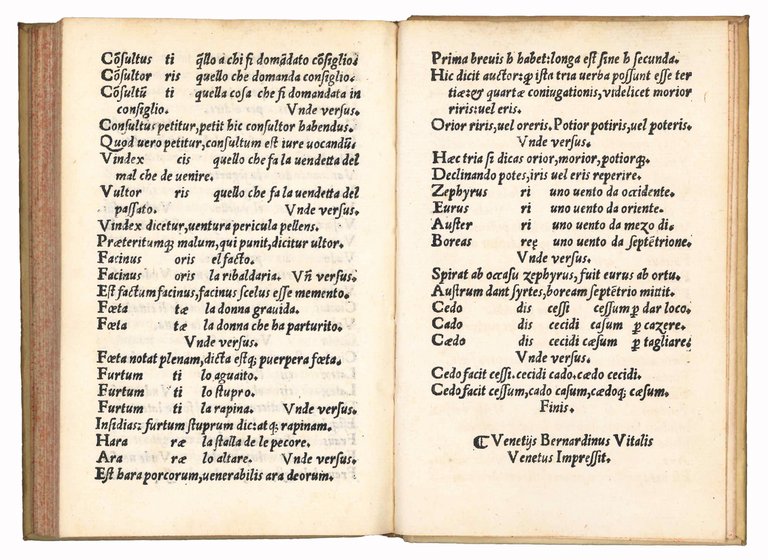 Grammaticae institutiones Guarini Veronensis suis exemplis et aliis rebus auctae