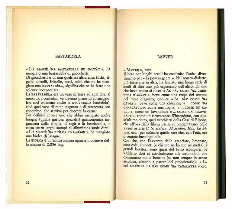 Guida ai detti modenesi. Loro origine e significati.