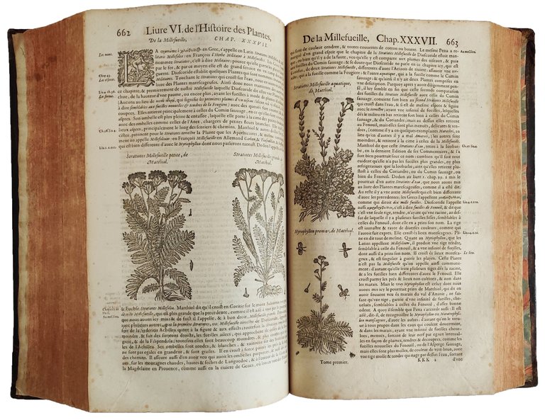 Histoire generale des plantes contenant XVIII. livres egalement departis en …