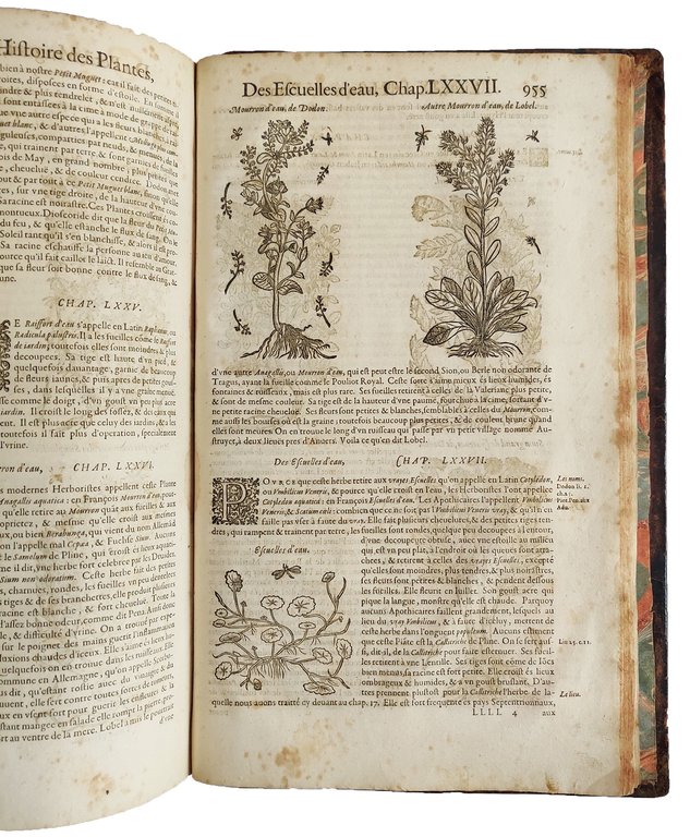 Histoire generale des plantes contenant XVIII. livres egalement departis en …