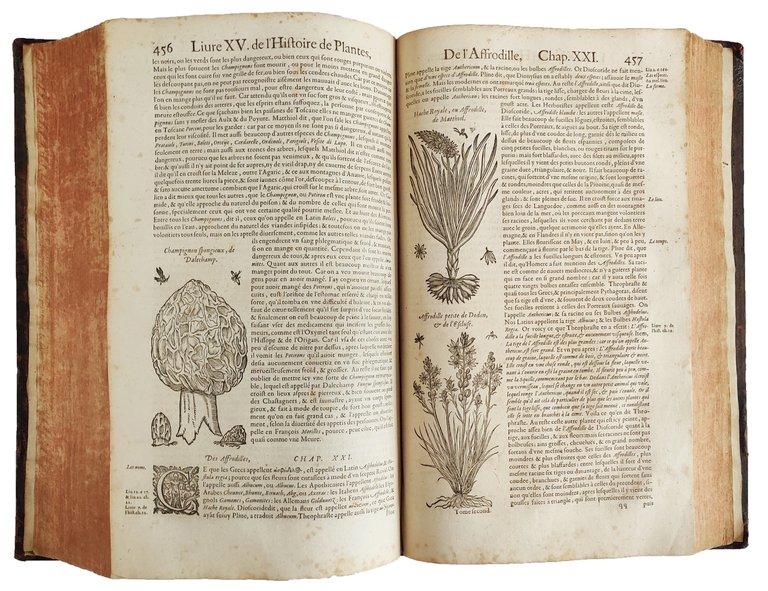 Histoire generale des plantes contenant XVIII. livres egalement departis en …