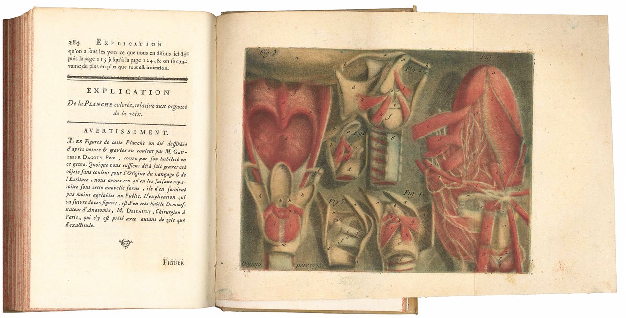 Histoire naturelle de la parole ou Précis de l'Origine du …