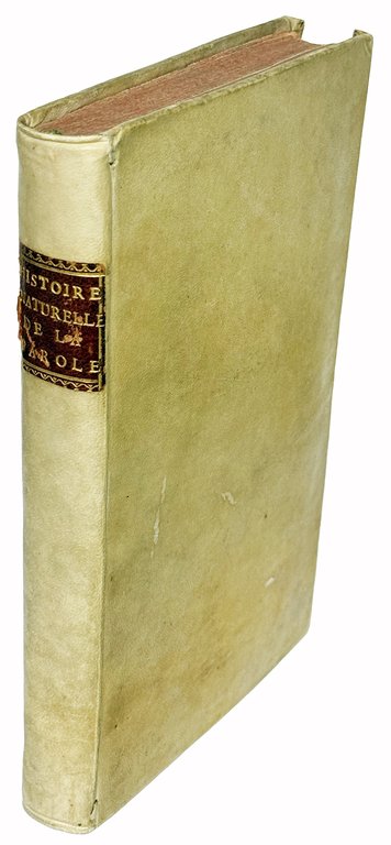 Histoire naturelle de la parole ou Précis de l'Origine du …