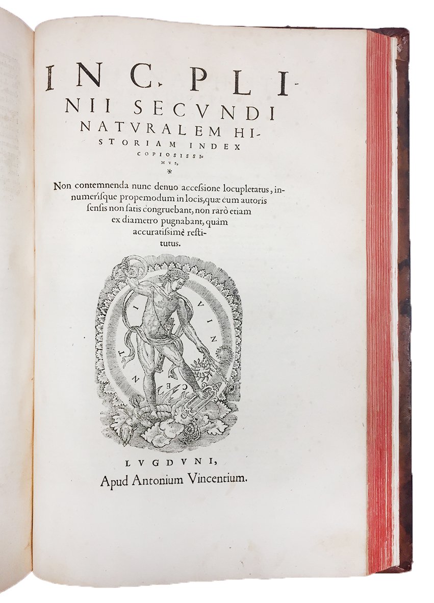 Historiae mundi libri XXXVII. Maiore, quam hactenus unquam, studio, fide, …