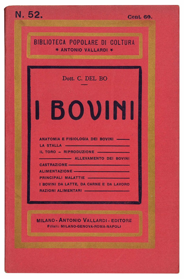 I bovini.