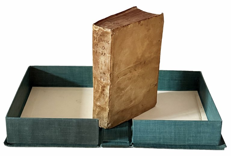 I cinque libri de le antichità de Beroso sacerdote Caldeo. …