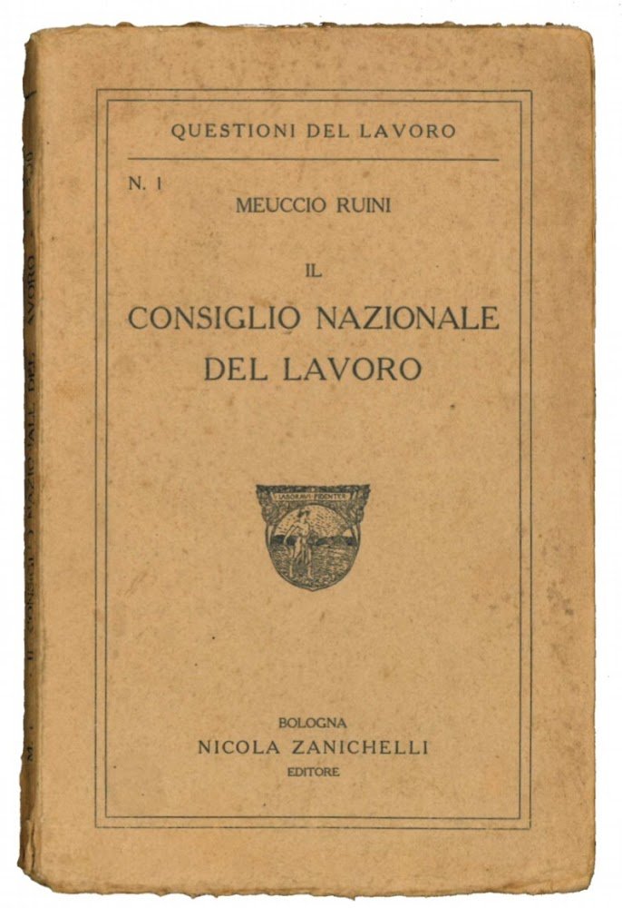Il consiglio nazionale del lavoro.