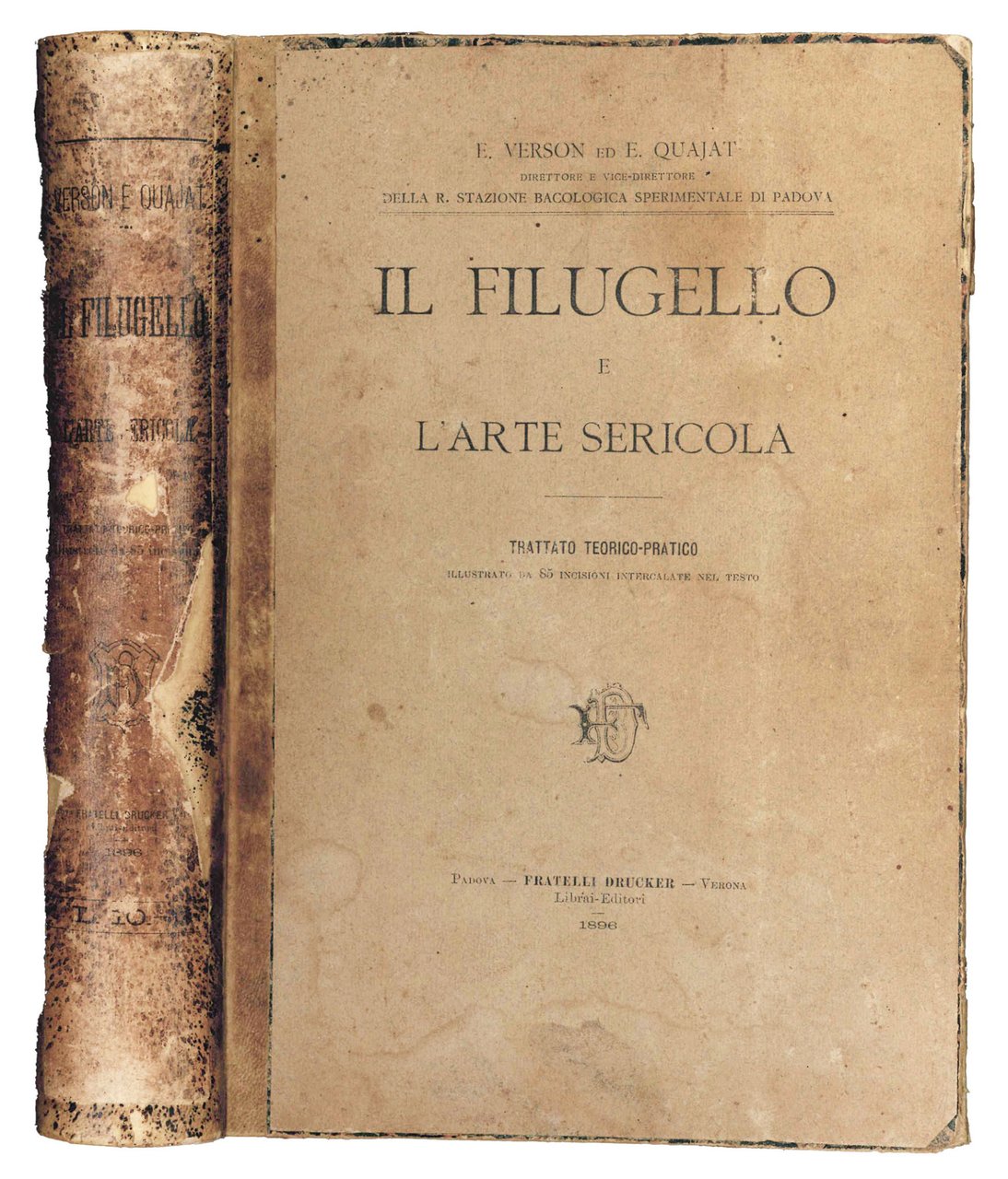 Il filugello e l'arte sericola: trattato teorico-pratico. | Immagine principale