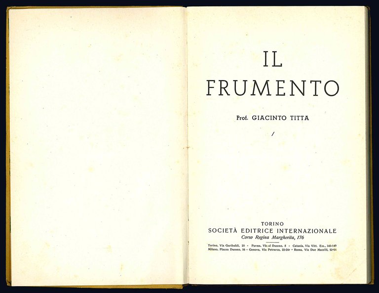 Il frumento.